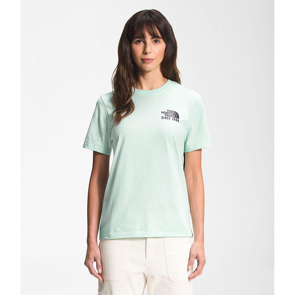 The North Face Κοντό Μανίκι Mountain Peace Γυναικεια T Shirt - Τυρκουάζ (RDNX78256)